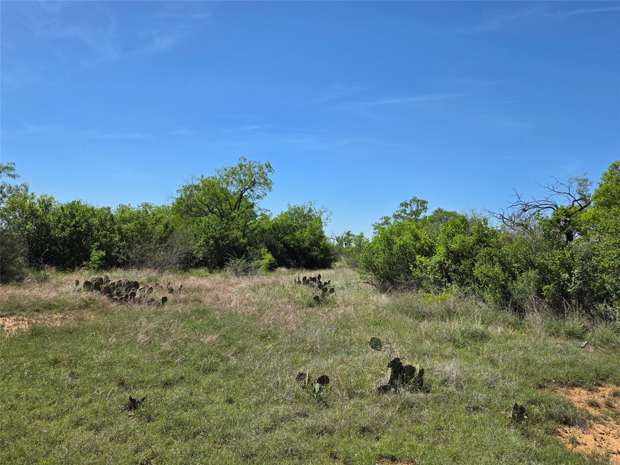 10315 Fm 45 Richland Springs TX 76872