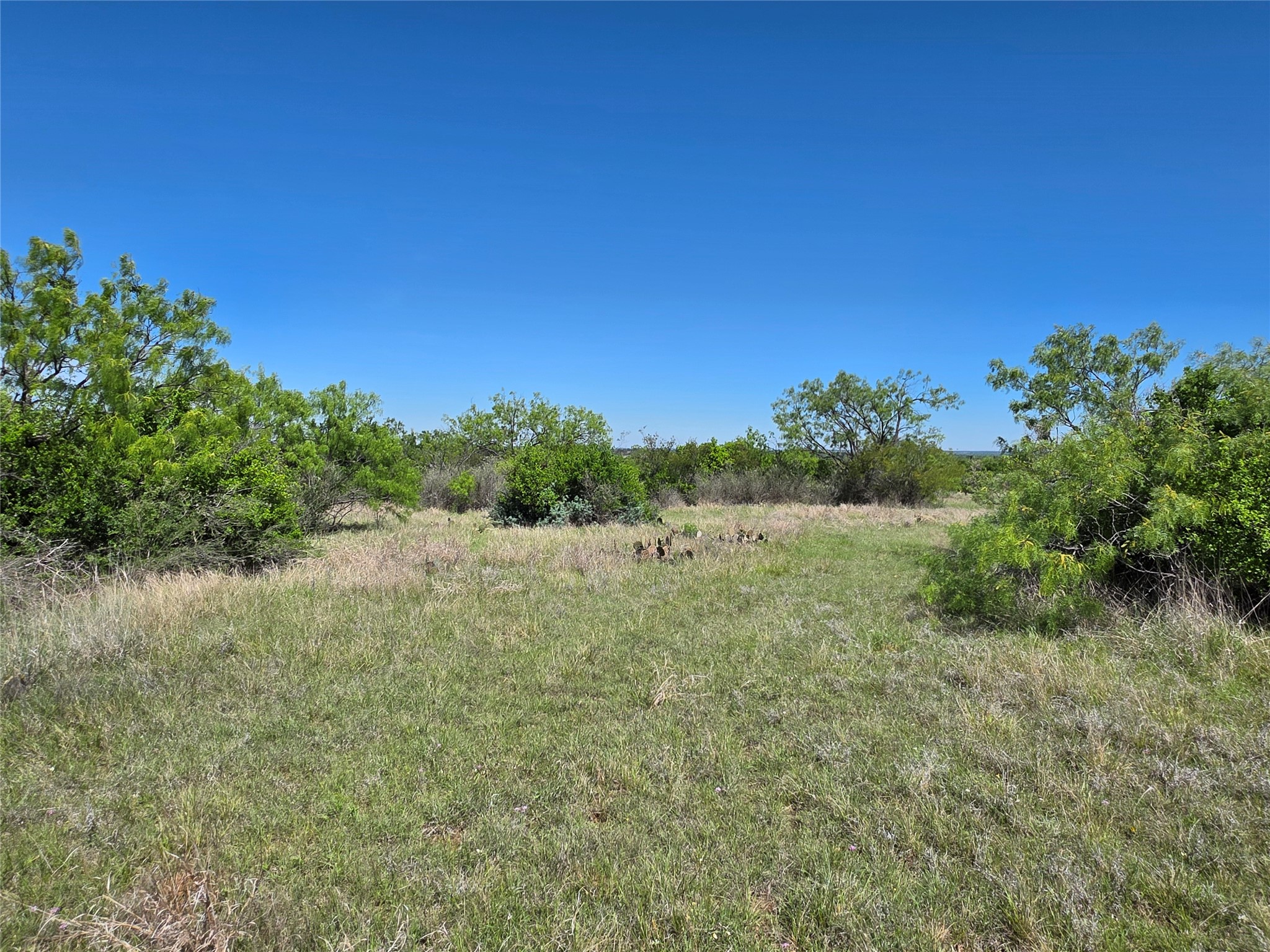 10315 Fm 45 Richland Springs TX 76872