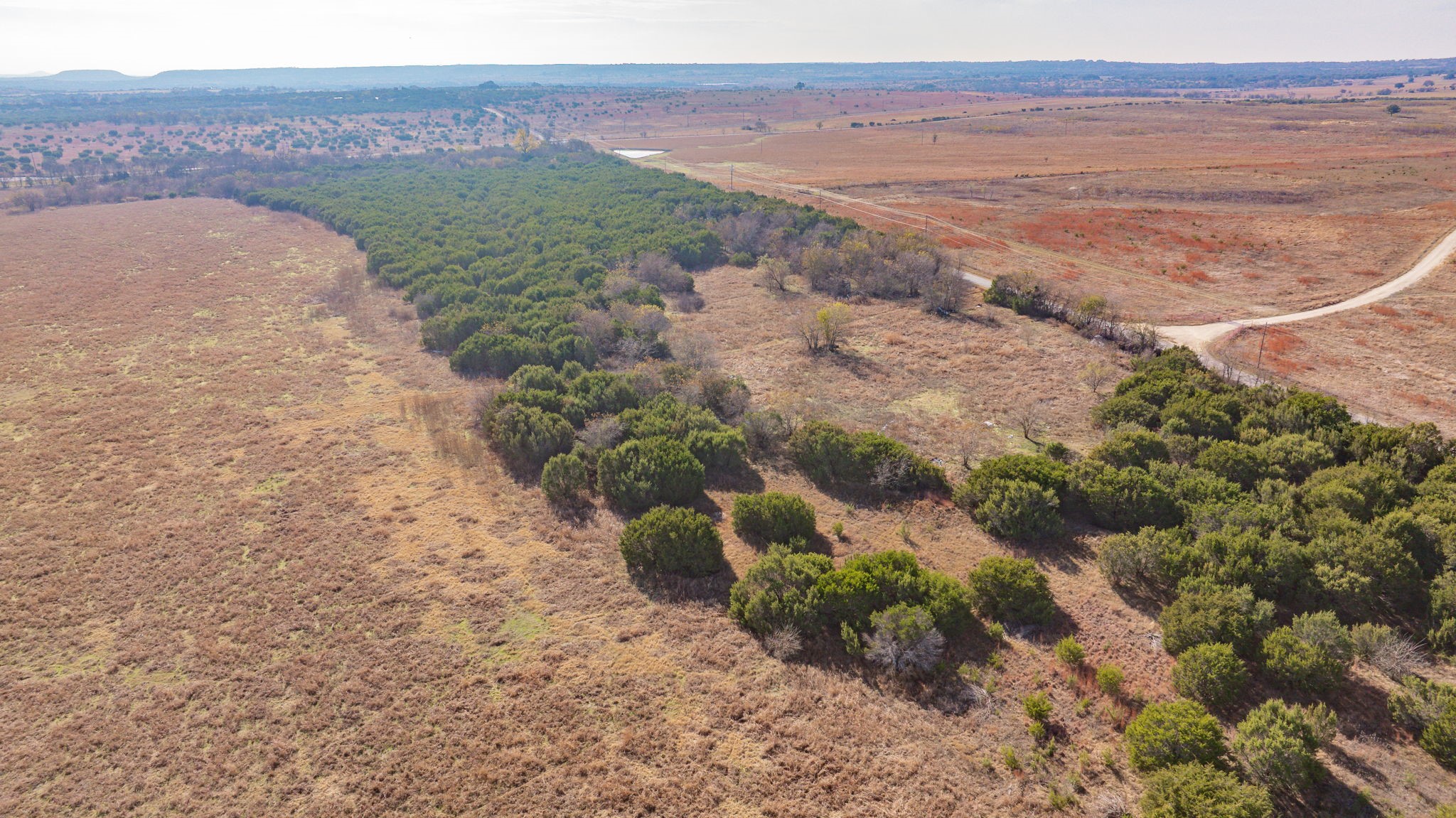Tbd Tx-220 Stephenville TX 76401