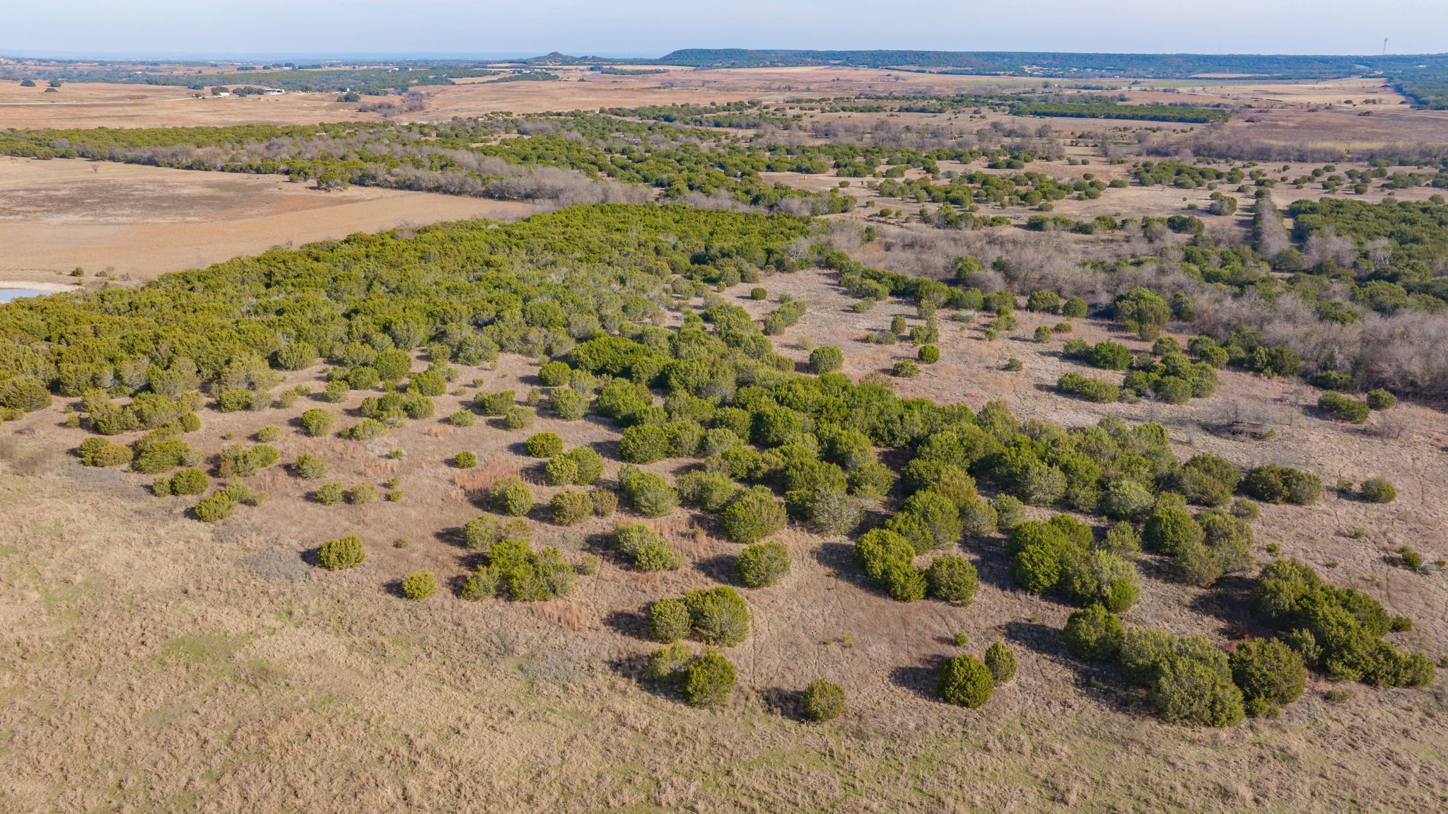 Tbd Tx-220 Stephenville TX 76401