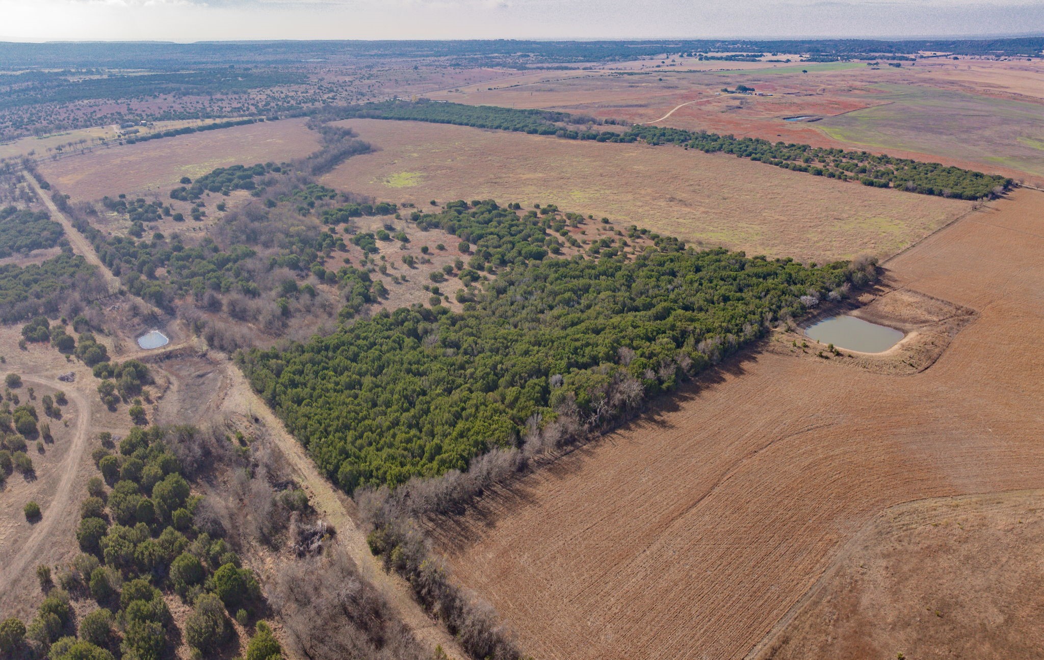 Tbd Tx-220 Stephenville TX 76401