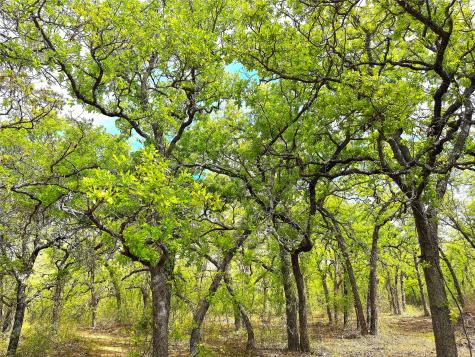Tbd Turpin Lake Road Poolville TX 76487