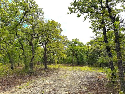 Tbd Turpin Lake Road Poolville TX 76487