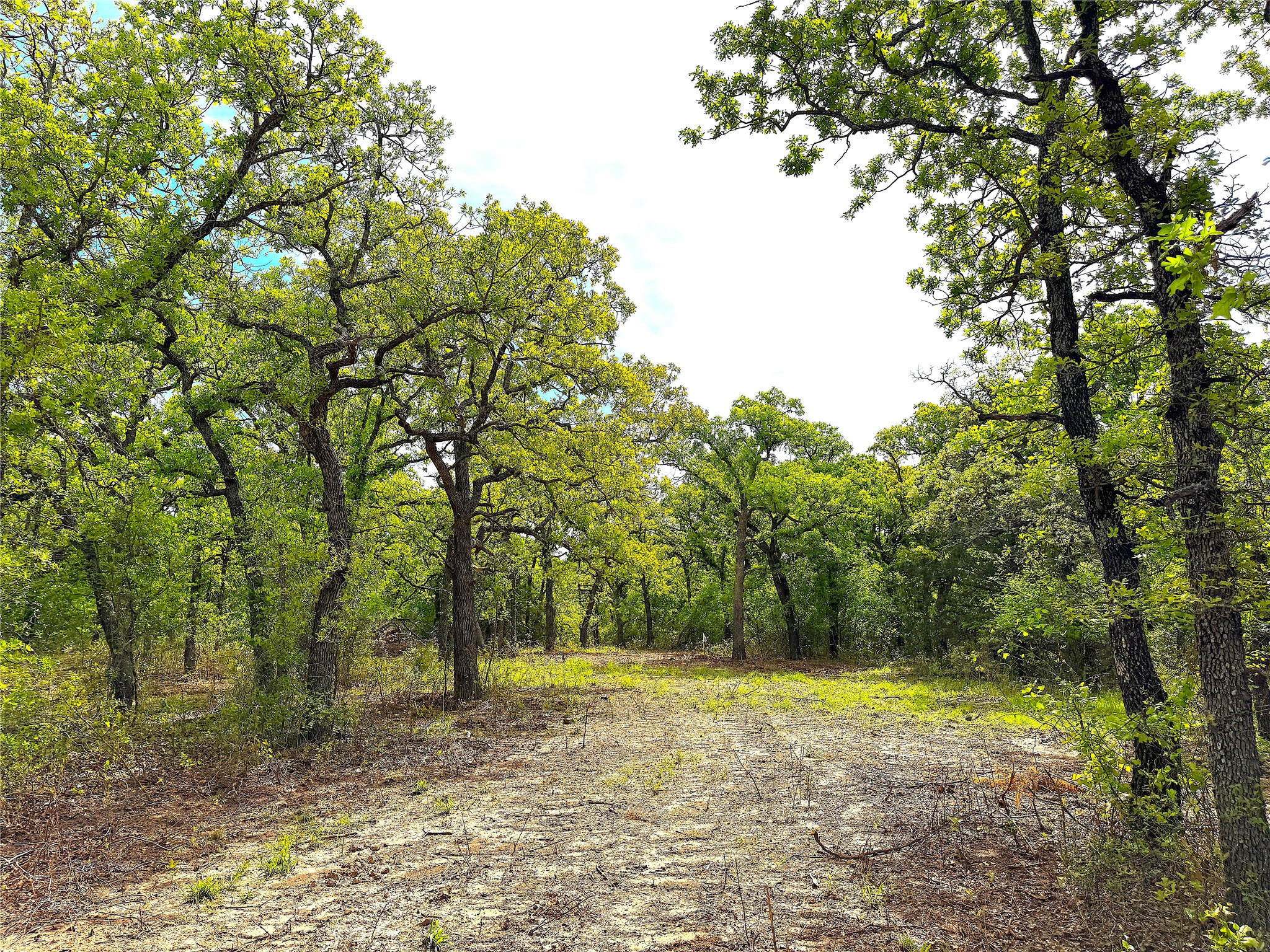 Tbd Turpin Lake Road Poolville TX 76487