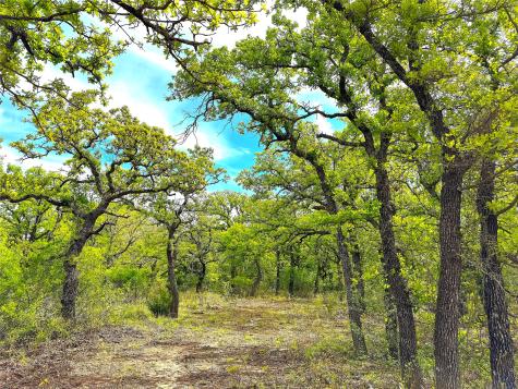 Tbd Turpin Lake Road Poolville TX 76487