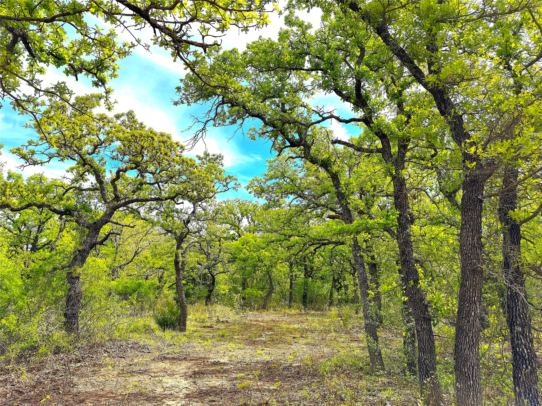 Tbd Turpin Lake Road Poolville TX 76487