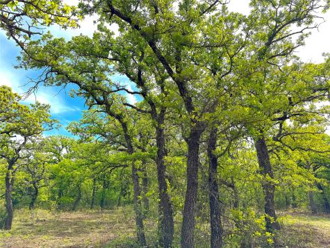 Tbd Turpin Lake Road Poolville TX 76487