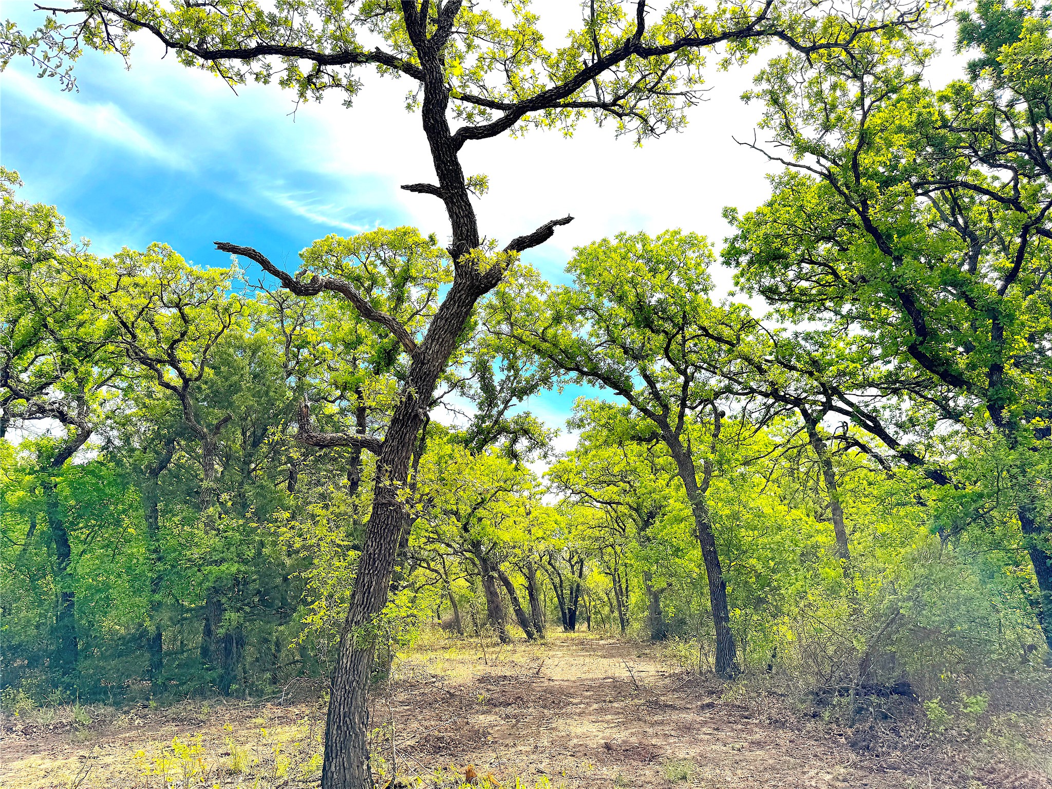 Tbd Turpin Lake Road Poolville TX 76487