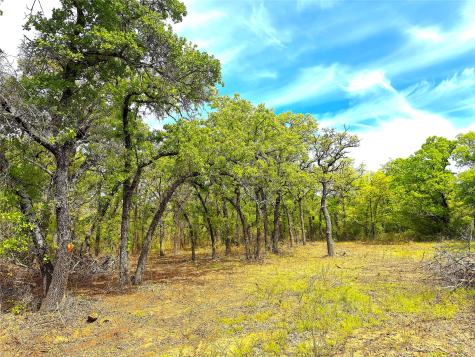 Tbd Turpin Lake Road Poolville TX 76487