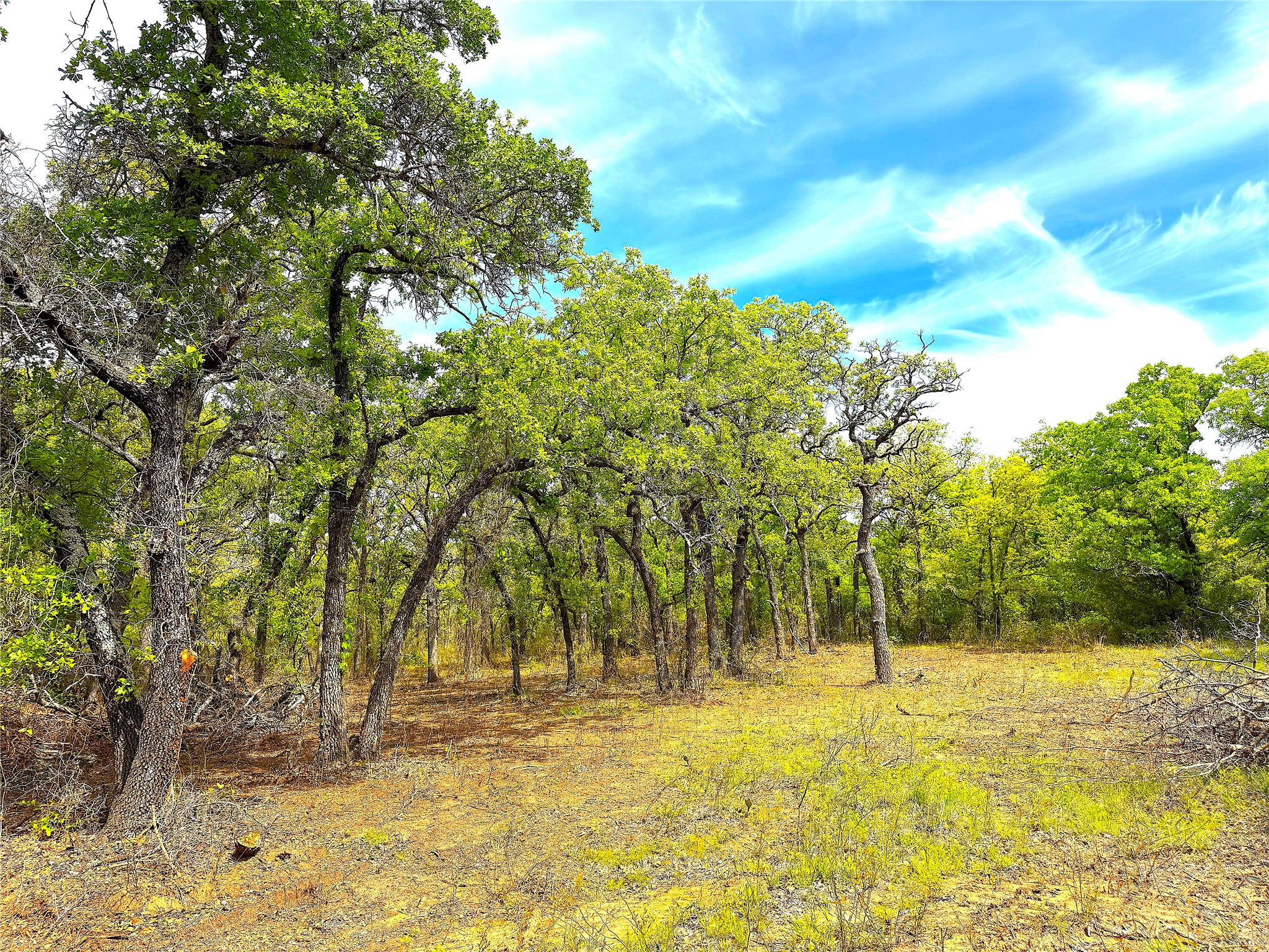 Tbd Turpin Lake Road Poolville TX 76487