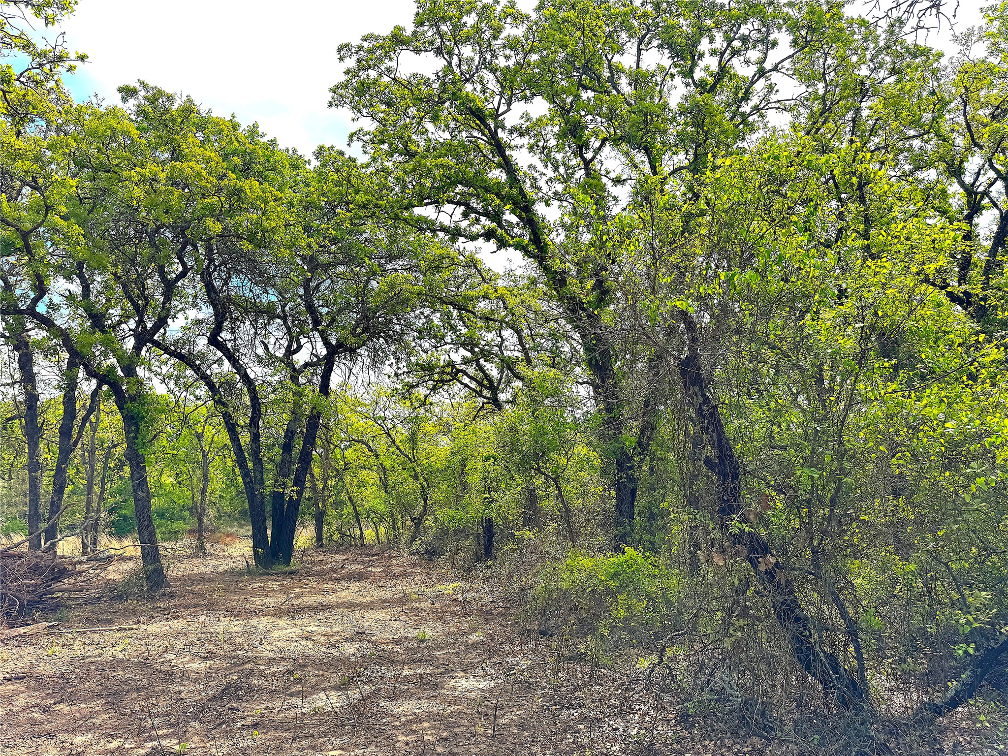 Tbd Turpin Lake Road Poolville TX 76487