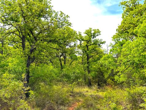 Tbd Turpin Lake Road Poolville TX 76487