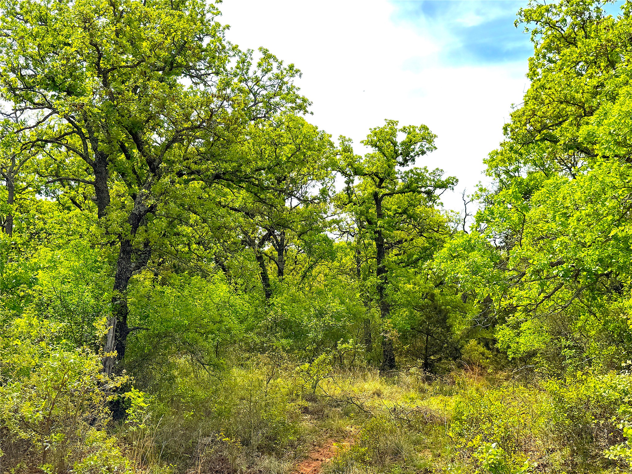 Tbd Turpin Lake Road Poolville TX 76487