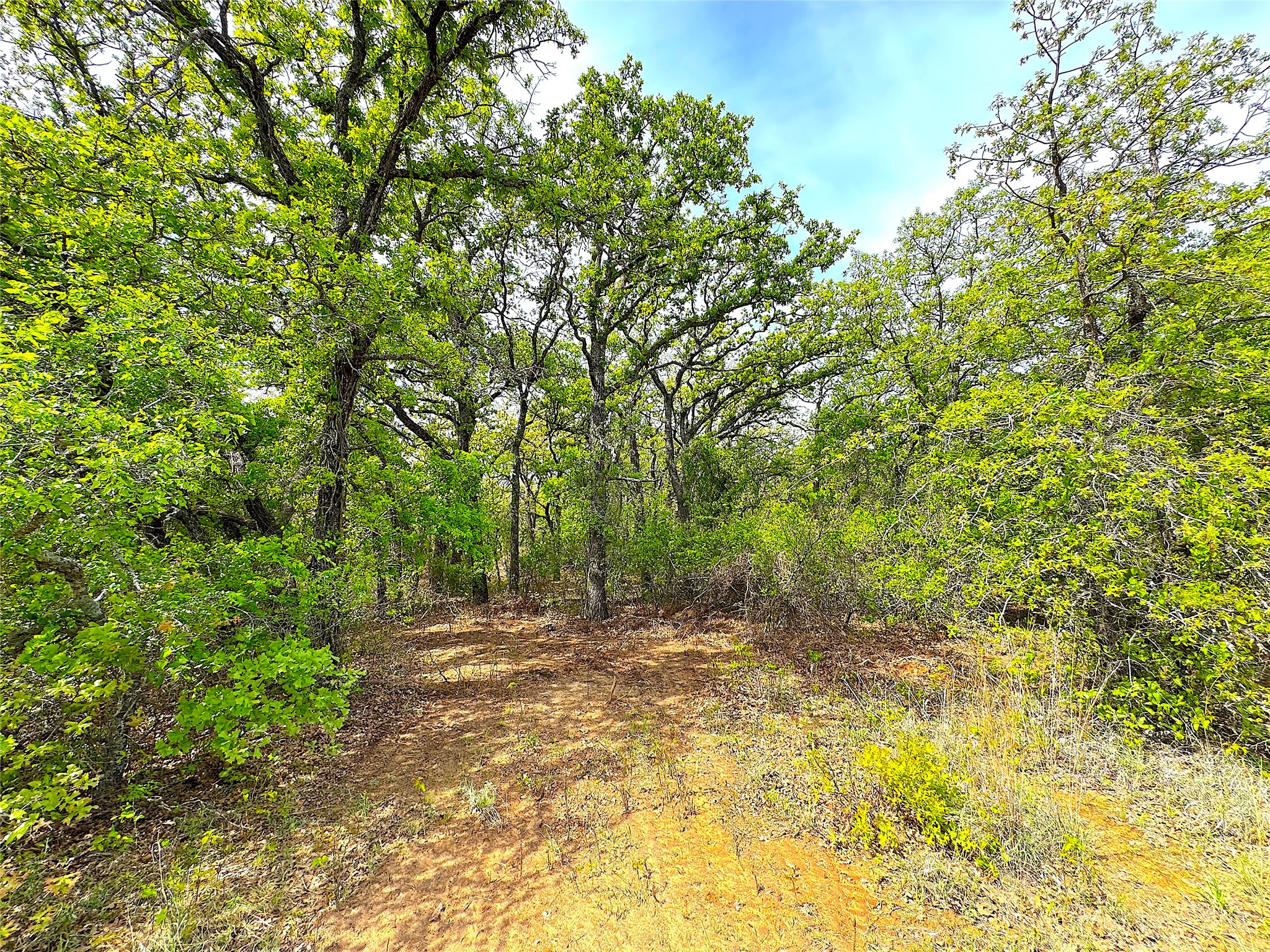 Tbd Turpin Lake Road Poolville TX 76487