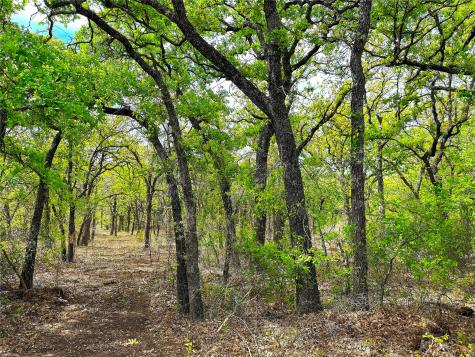 Tbd Turpin Lake Road Poolville TX 76487