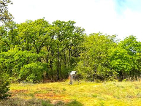 Tbd Turpin Lake Road Poolville TX 76487