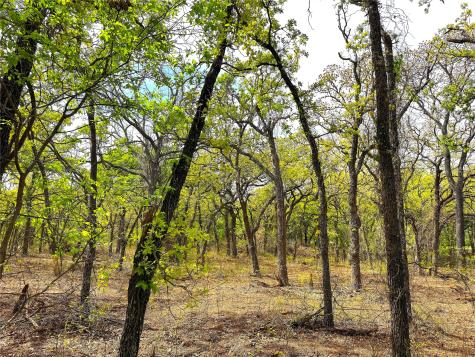 Tbd Turpin Lake Road Poolville TX 76487