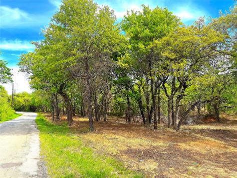 Tbd Turpin Lake Road Poolville TX 76487