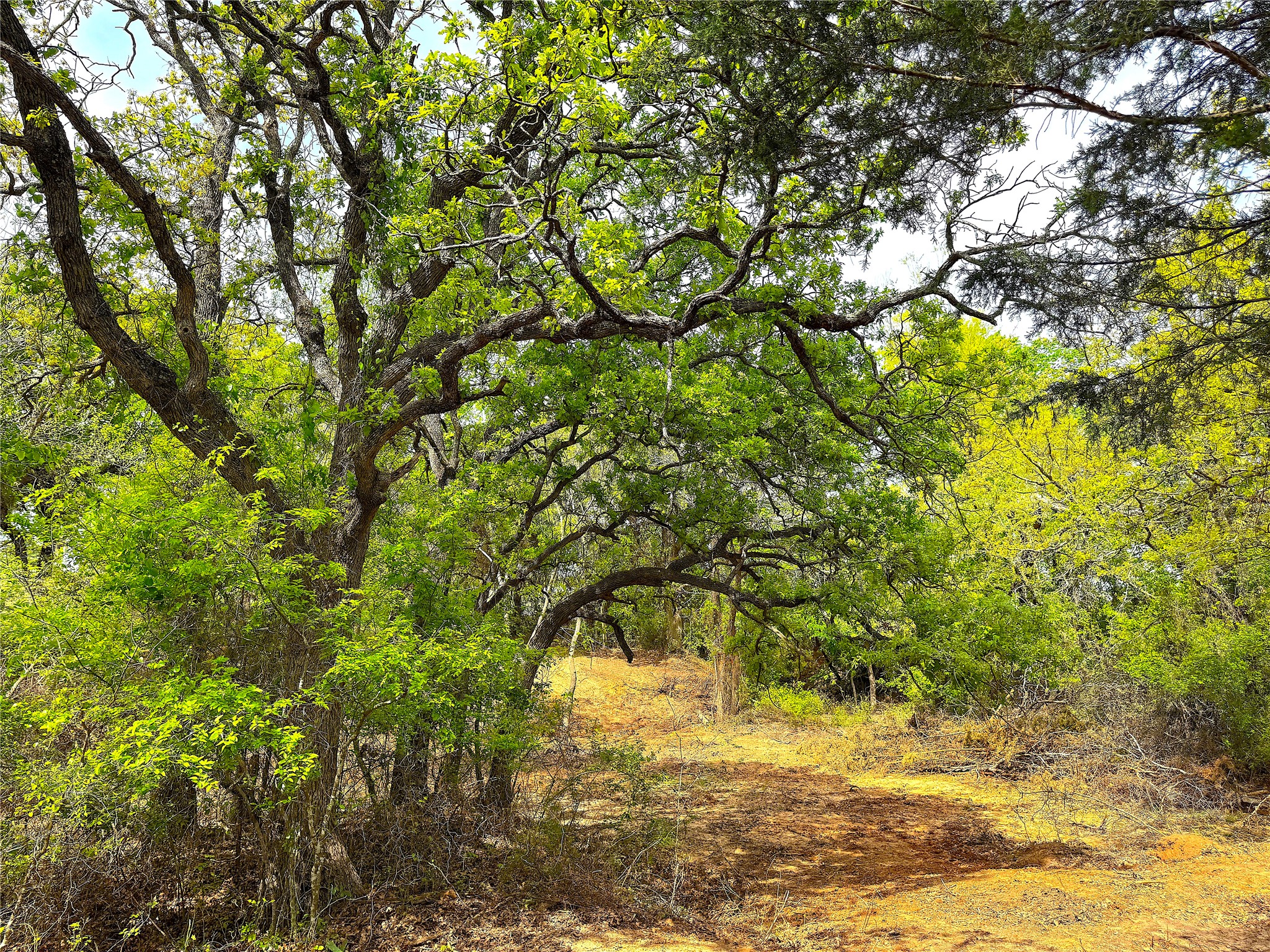 Tbd Turpin Lake Road Poolville TX 76487