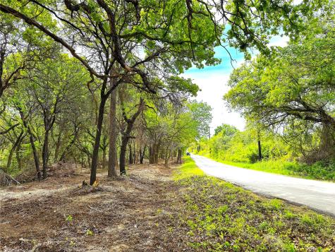 Tbd Turpin Lake Road Poolville TX 76487