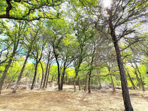 Tbd Turpin Lake Road Poolville TX 76487