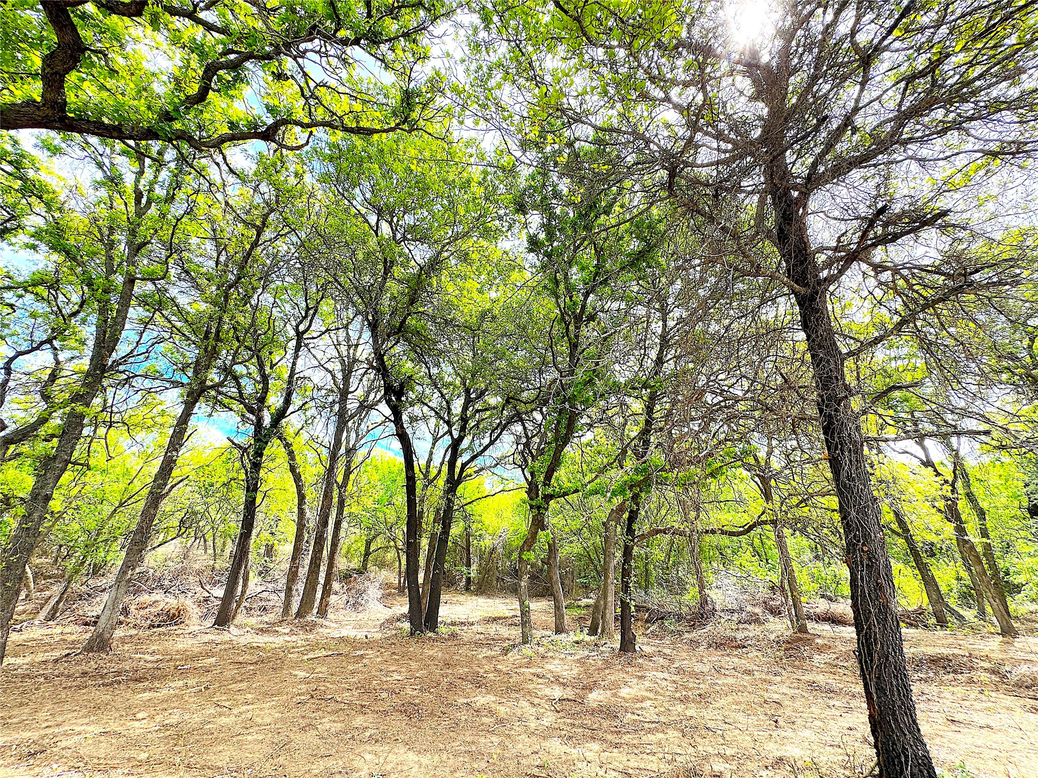 Tbd Turpin Lake Road Poolville TX 76487