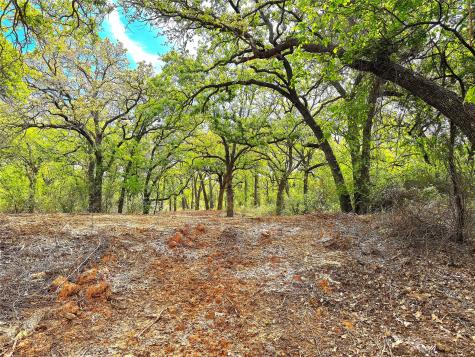 Tbd Turpin Lake Road Poolville TX 76487
