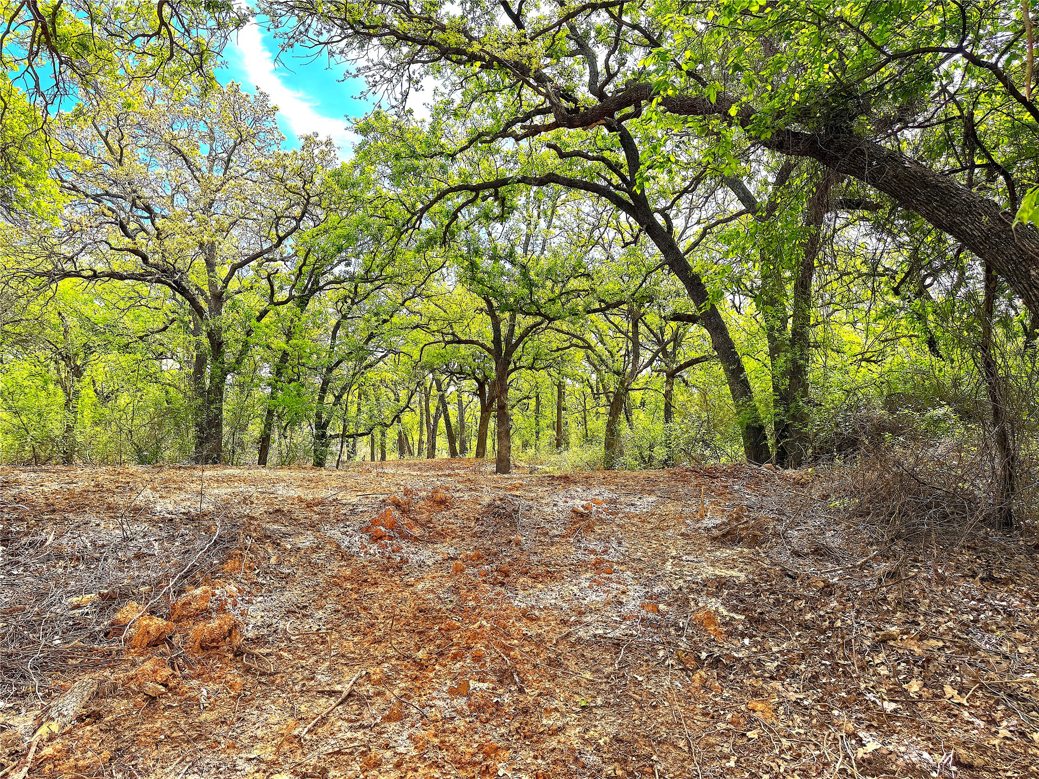 Tbd Turpin Lake Road Poolville TX 76487