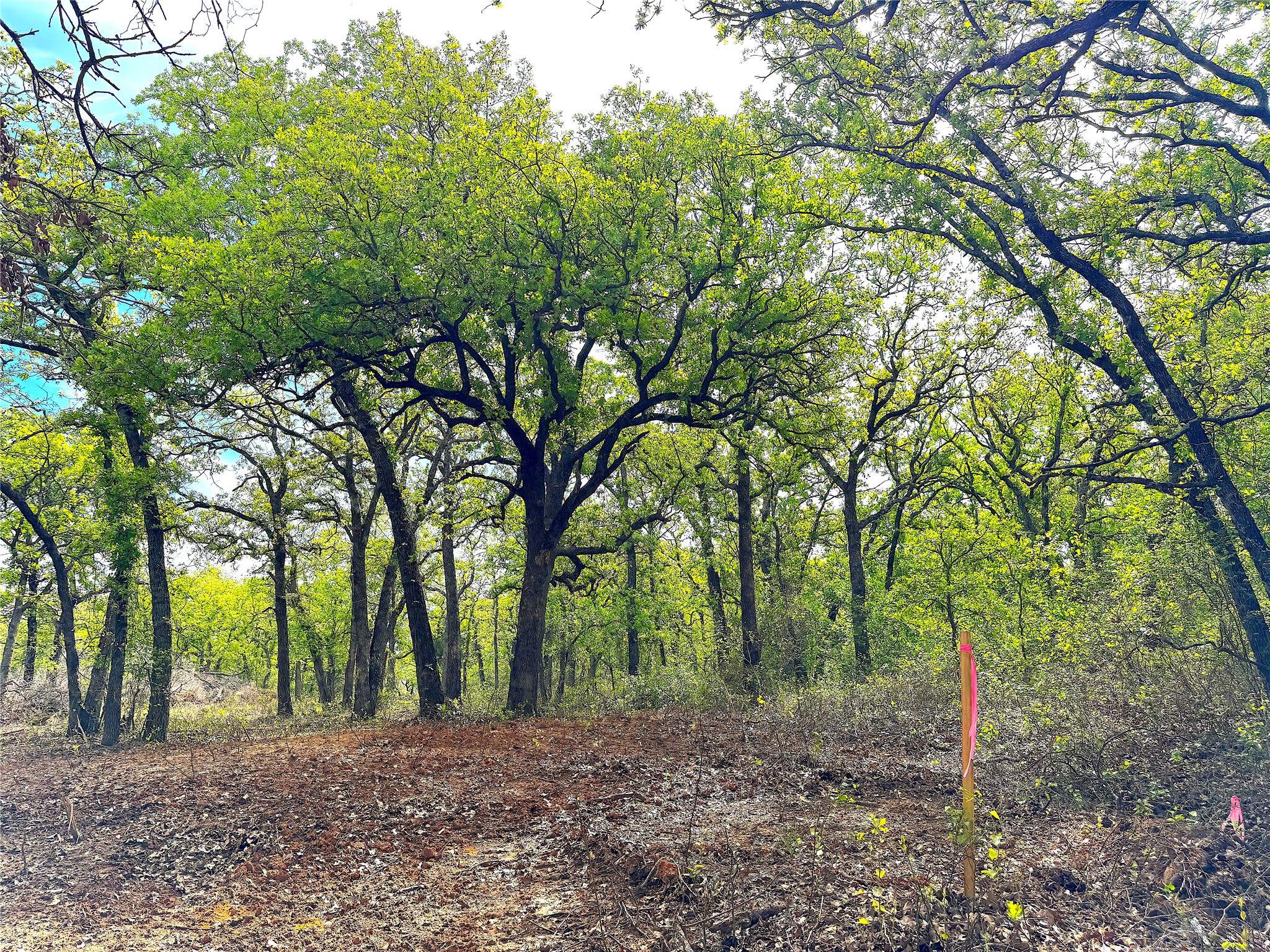 Tbd Turpin Lake Road Poolville TX 76487