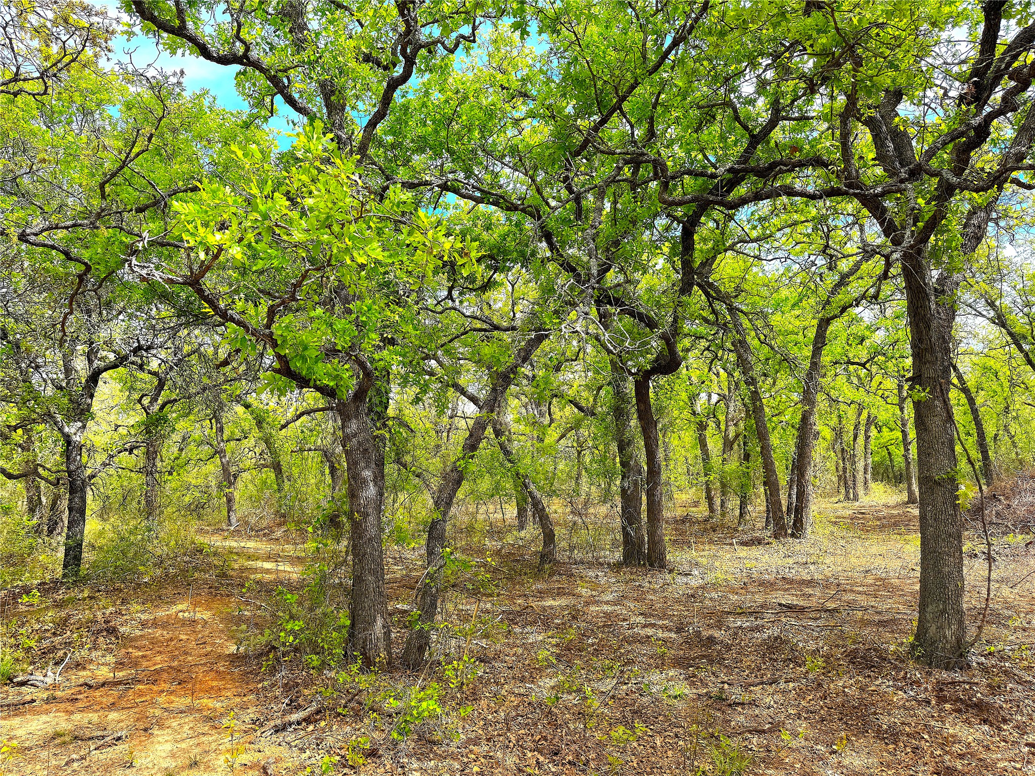 Tbd Turpin Lake Road Poolville TX 76487
