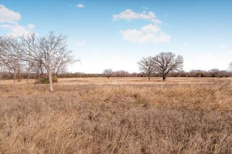 53 Ac Travis Drive Mineral Wells TX 76067