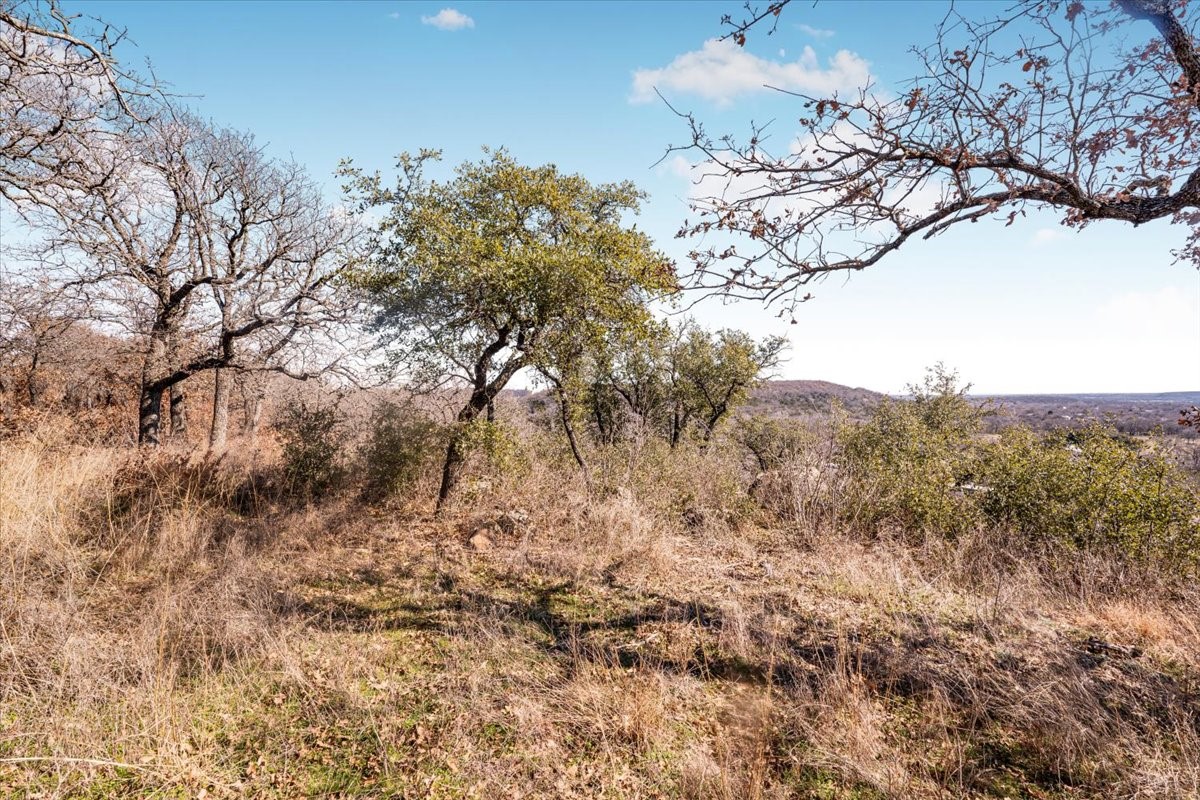 53 Ac Travis Drive Mineral Wells TX 76067