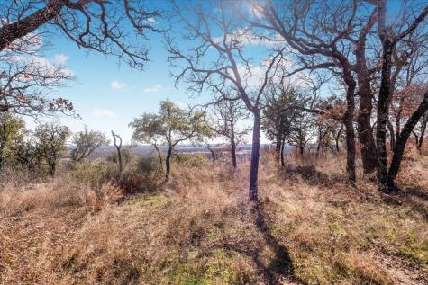 53 Ac Travis Drive Mineral Wells TX 76067