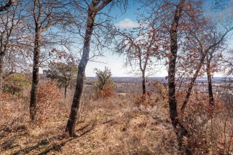 53 Ac Travis Drive Mineral Wells TX 76067