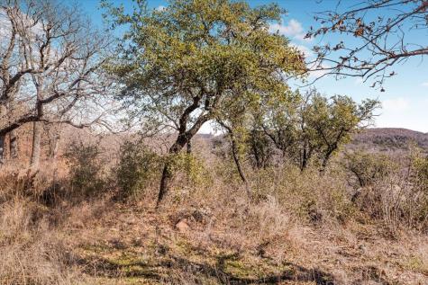 53 Ac Travis Drive Mineral Wells TX 76067