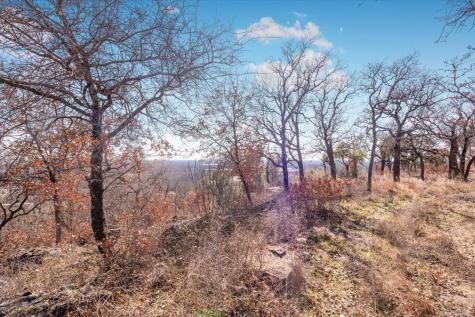 53 Ac Travis Drive Mineral Wells TX 76067