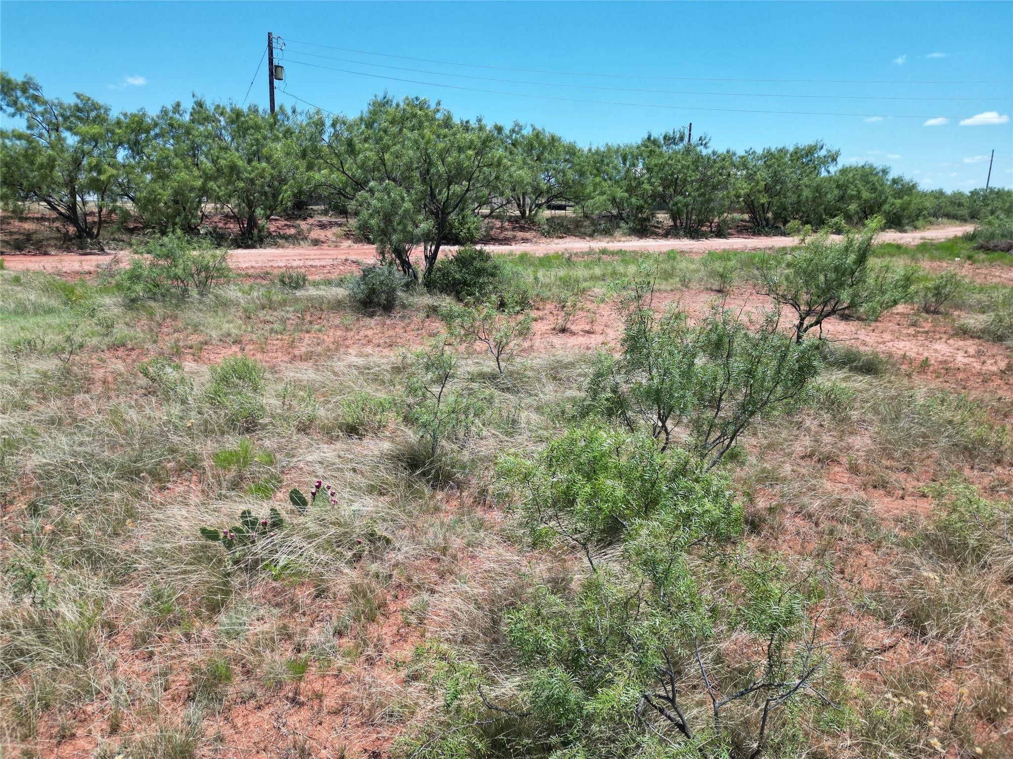 5725 Tbd Fm 604 Ovalo TX 79541