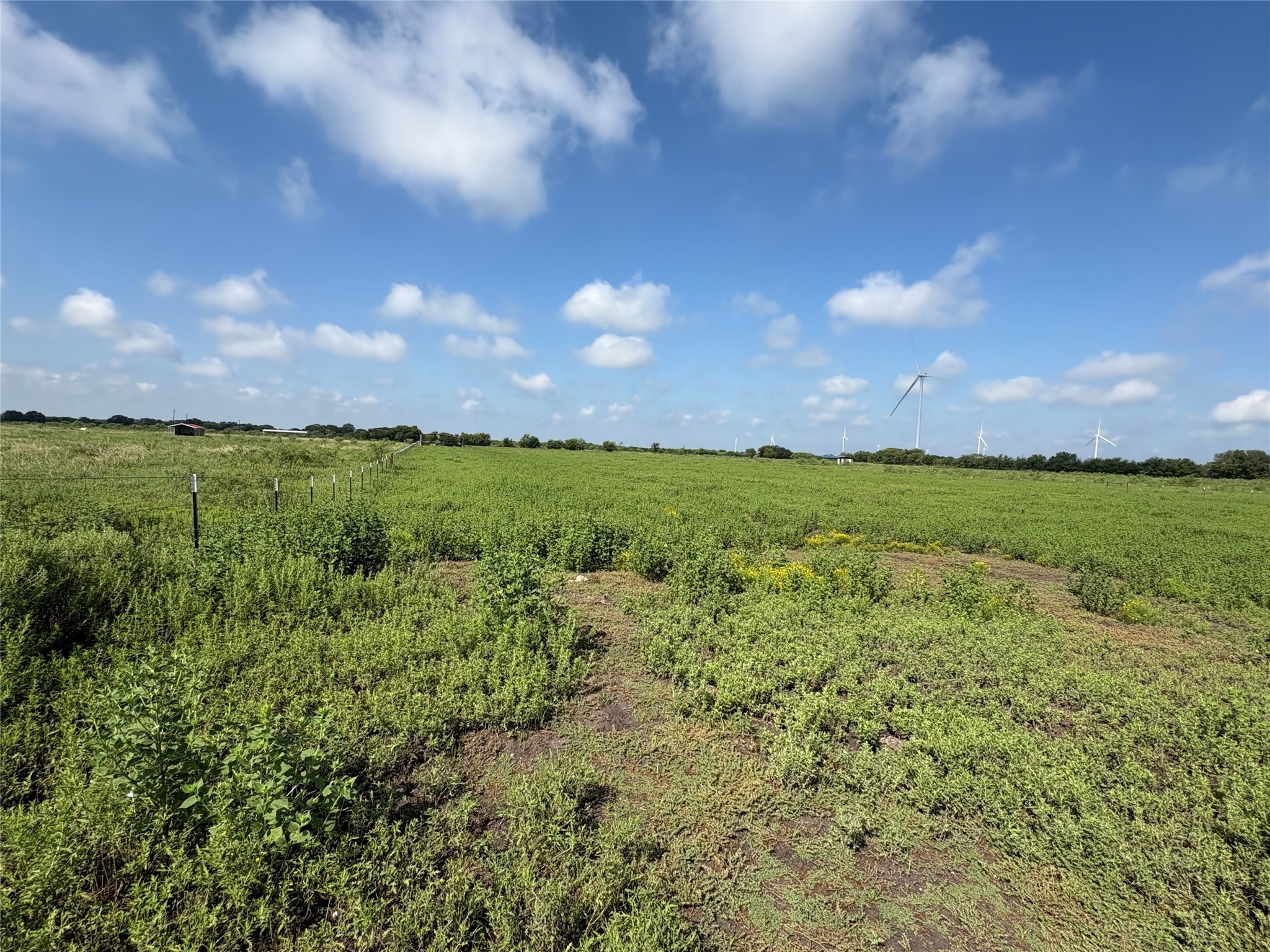 Tbd 000 Fm 1838 Dawson TX 76639