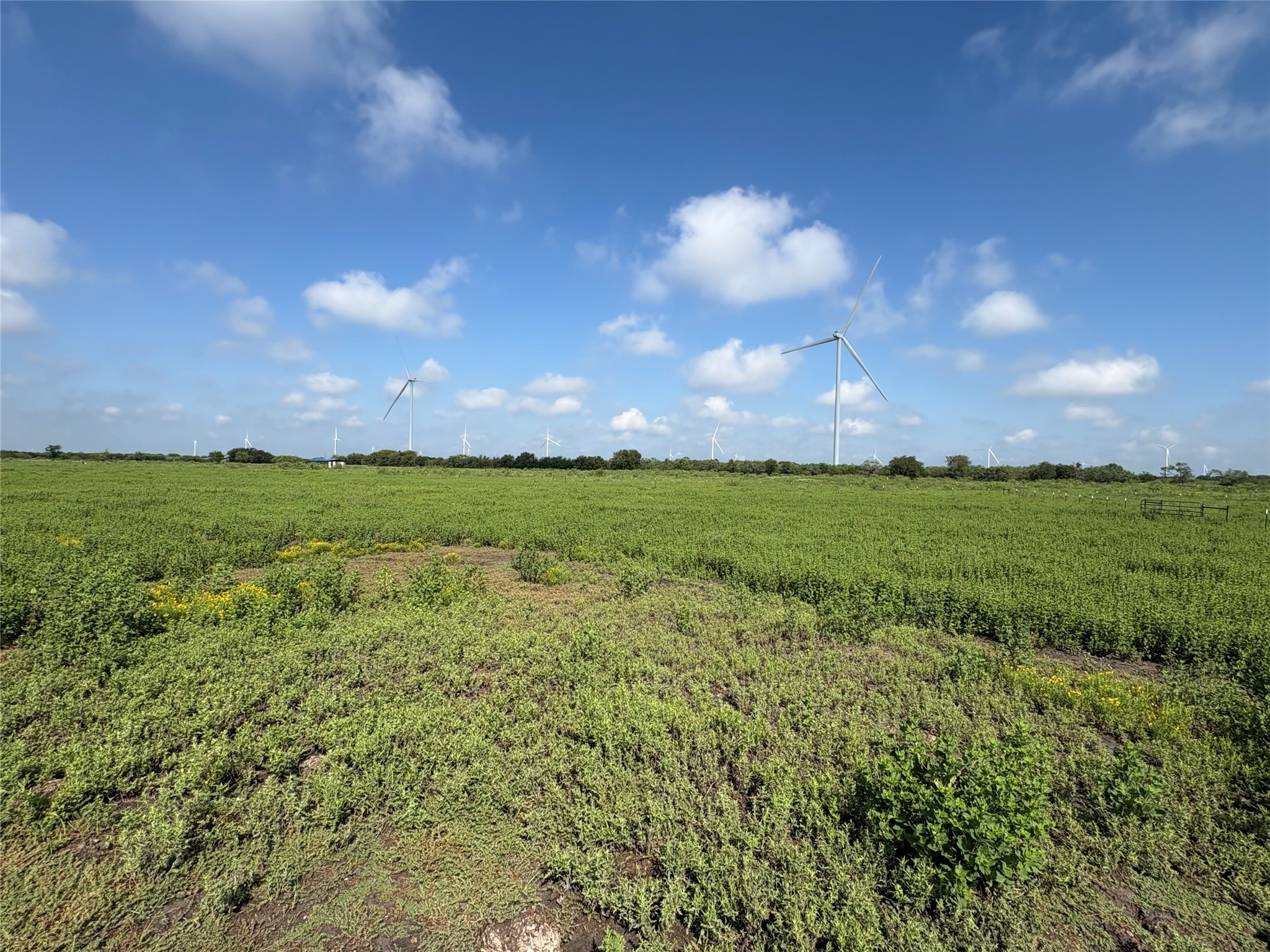 Tbd 000 Fm 1838 Dawson TX 76639