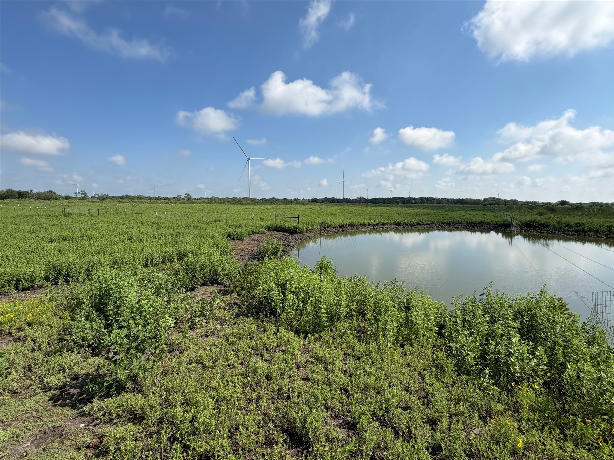 Tbd 000 Fm 1838 Dawson TX 76639