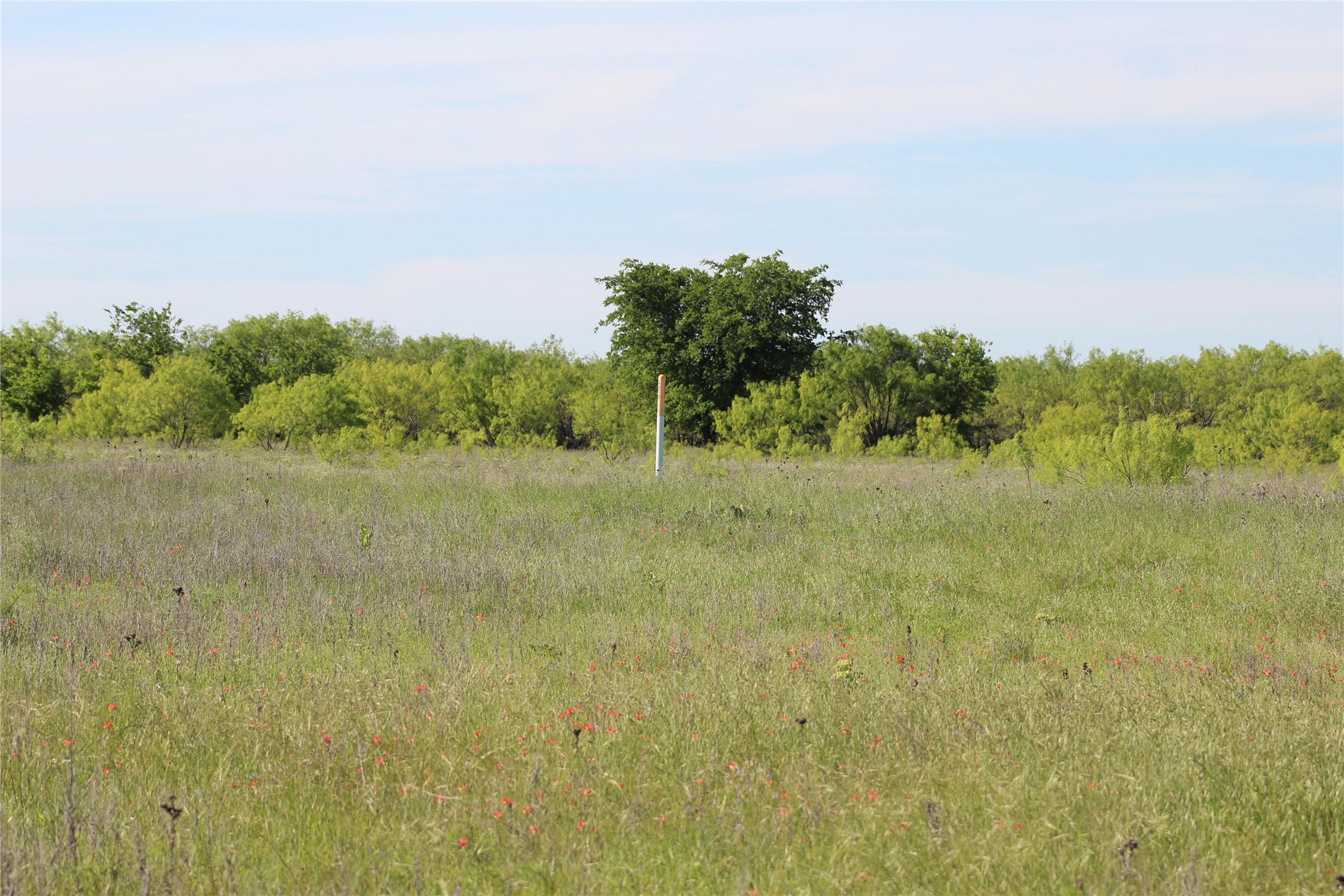 2077 B Shawver Road Perrin TX 76486