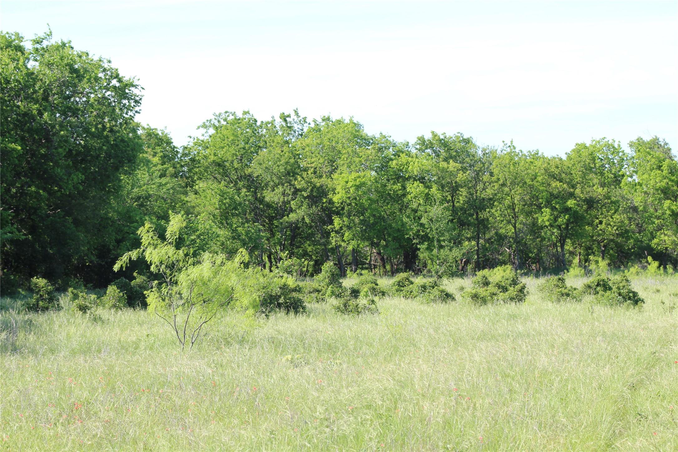 2077 B Shawver Road Perrin TX 76486