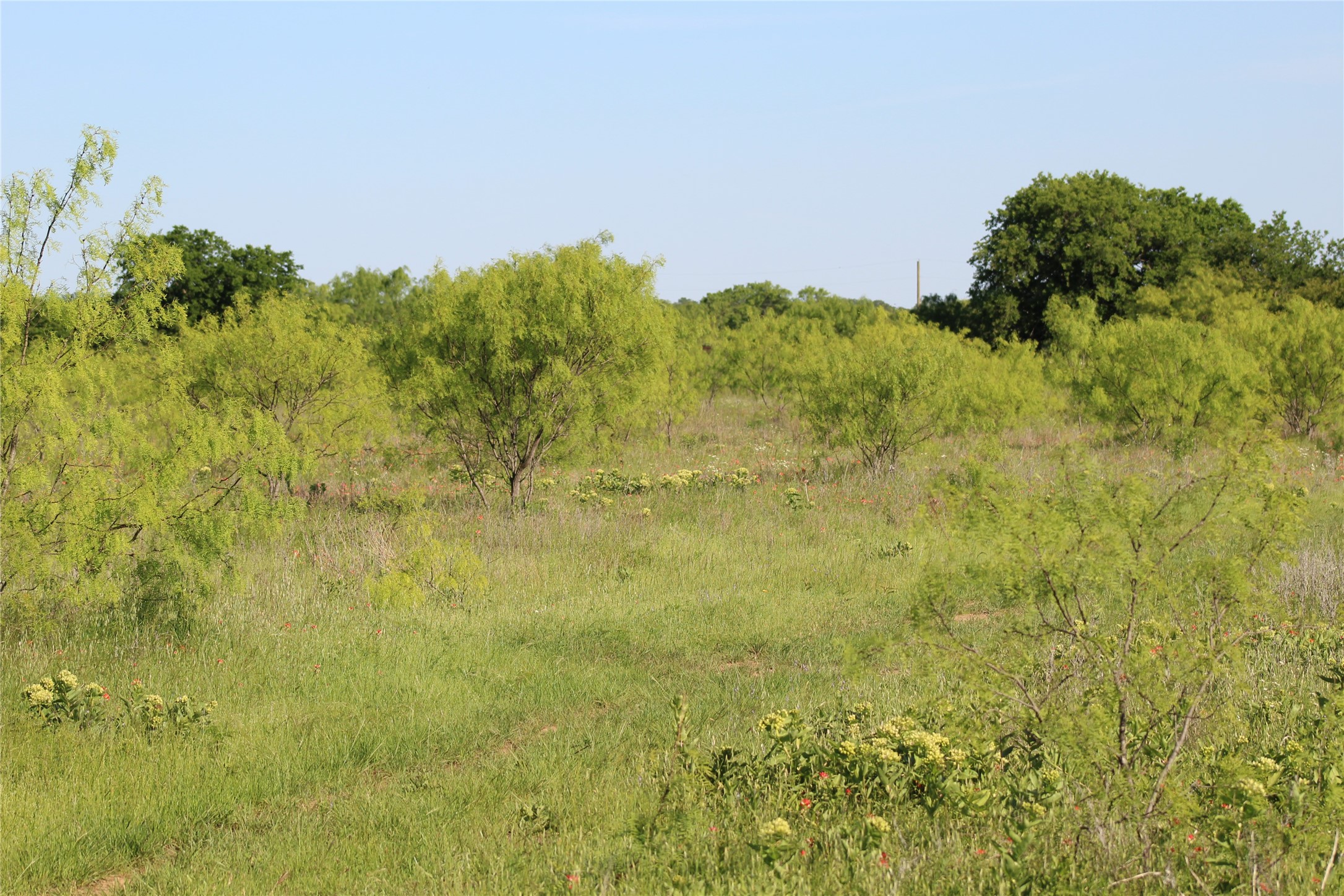 2077 B Shawver Road Perrin TX 76486