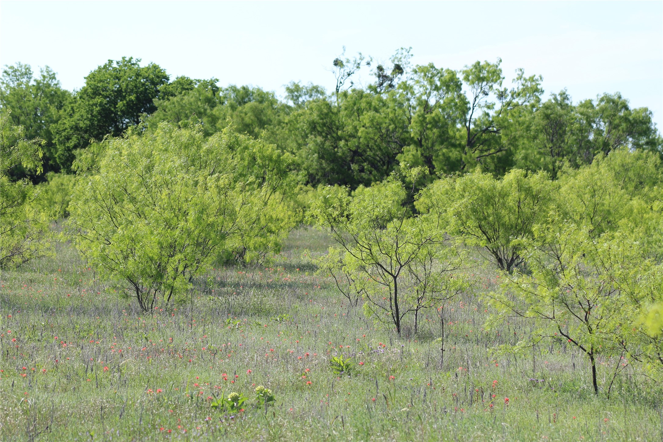 2077 B Shawver Road Perrin TX 76486
