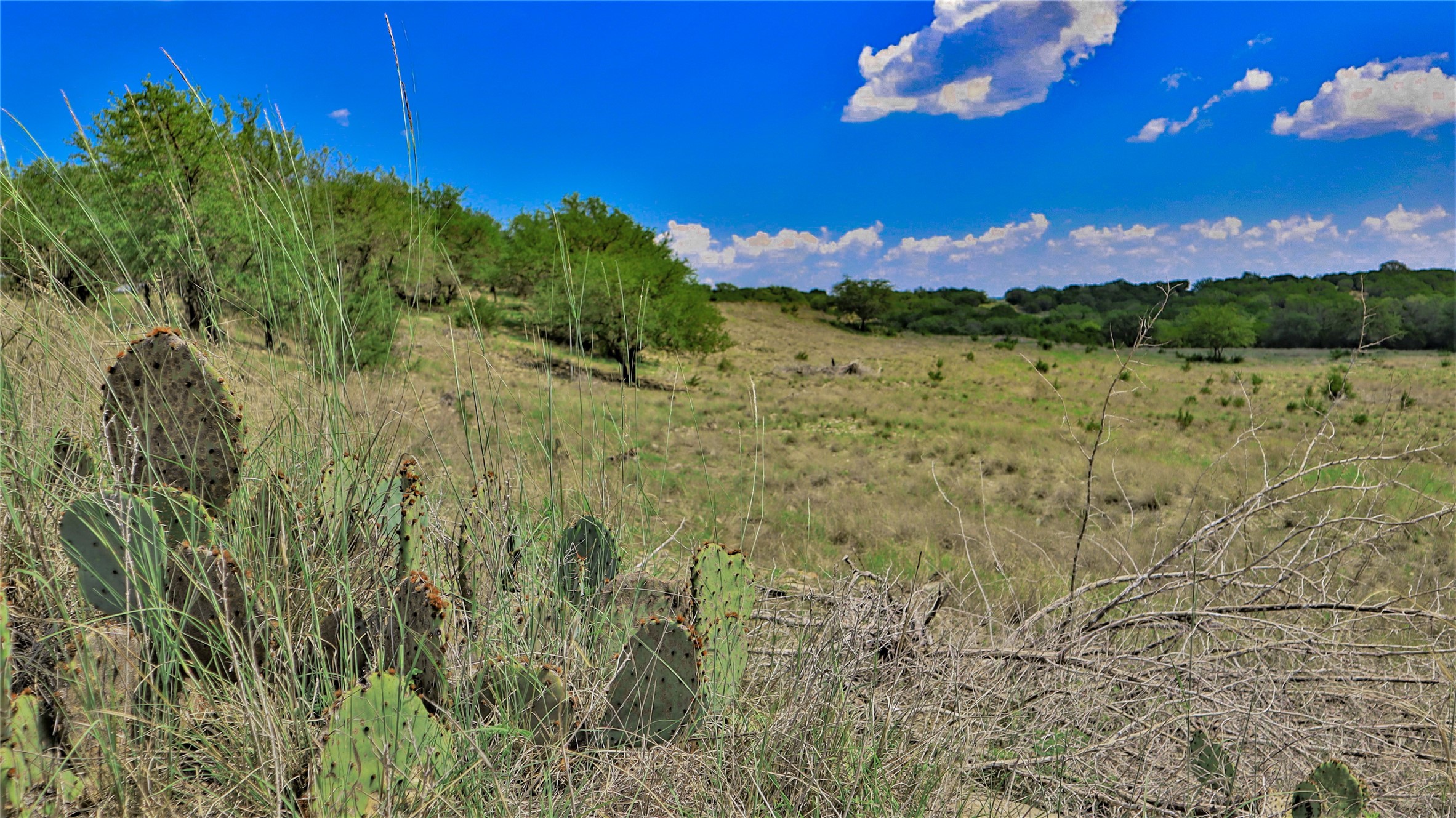 Tbd Paluxy Highway Tolar TX 76476