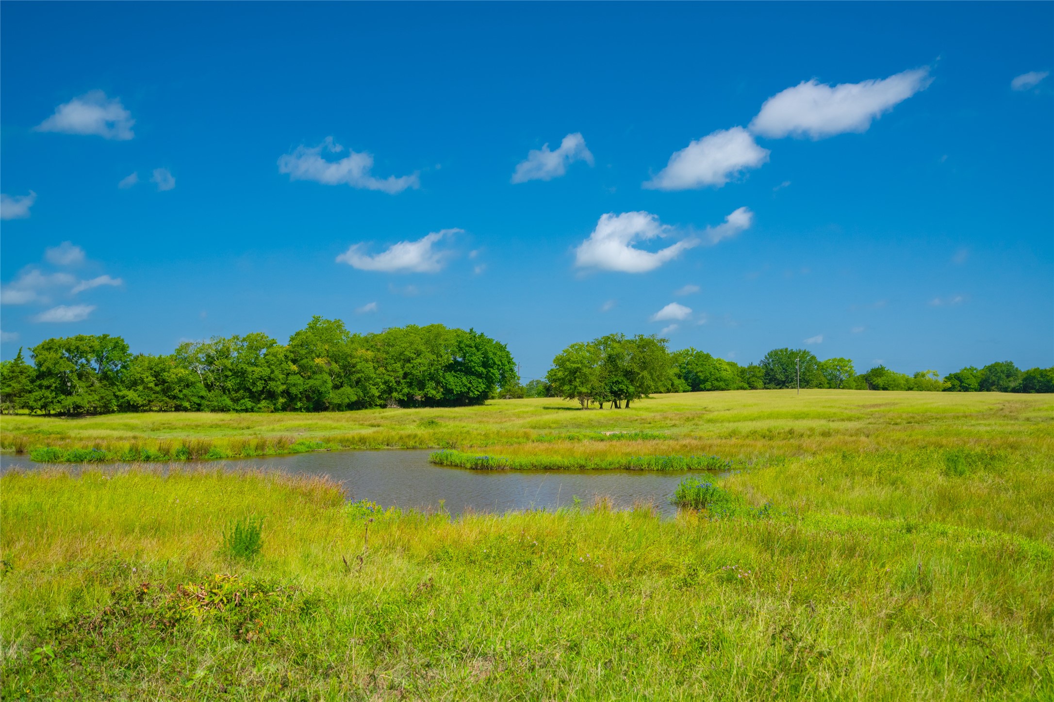 1145 N Highway 144 Omaha TX 75571