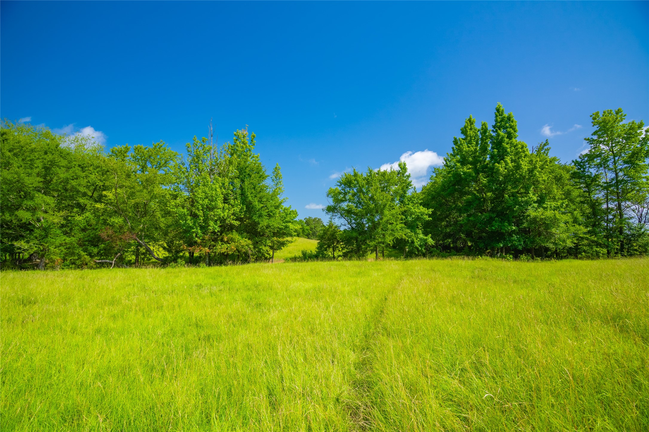 1145 N Highway 144 Omaha TX 75571