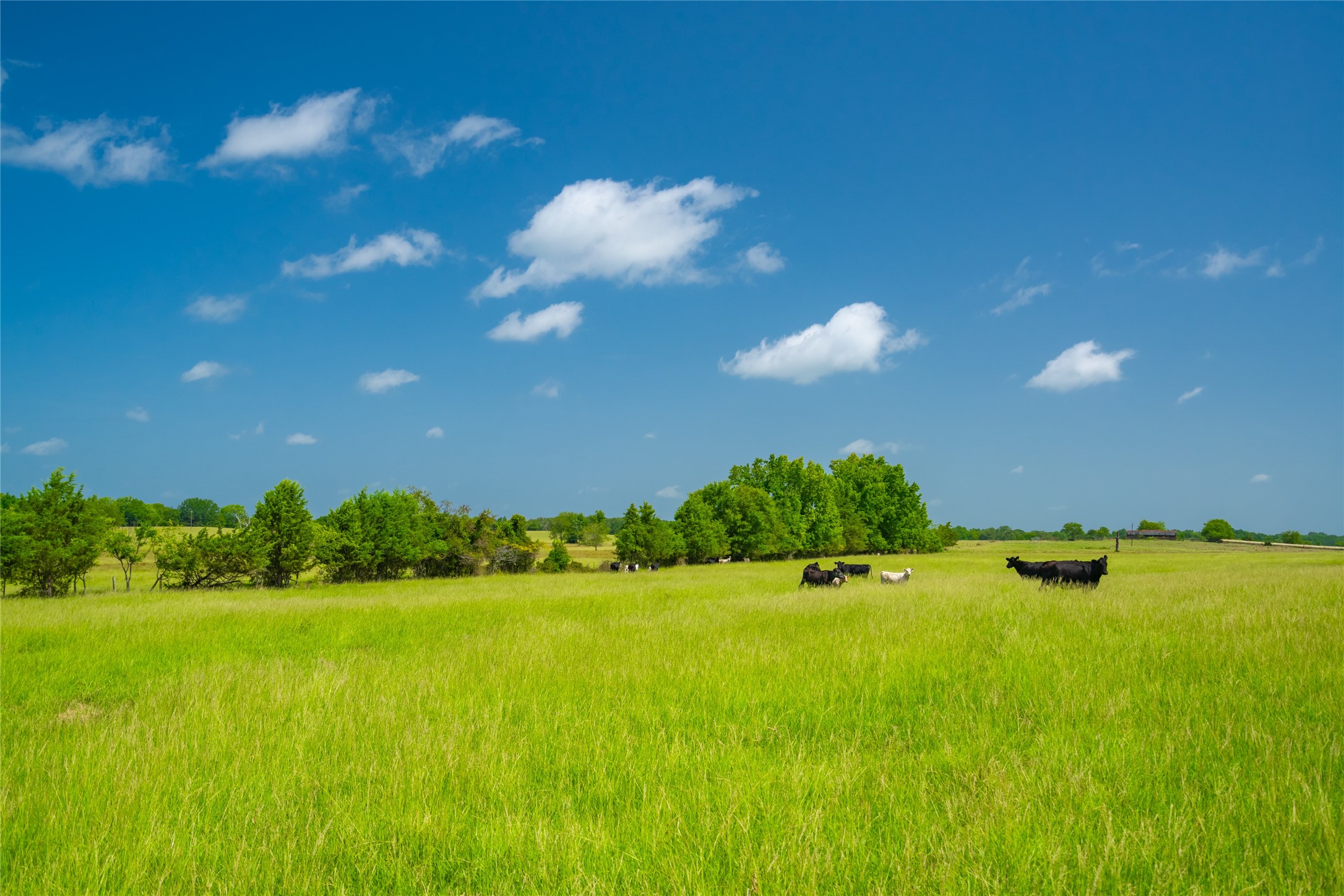 1145 N Highway 144 Omaha TX 75571
