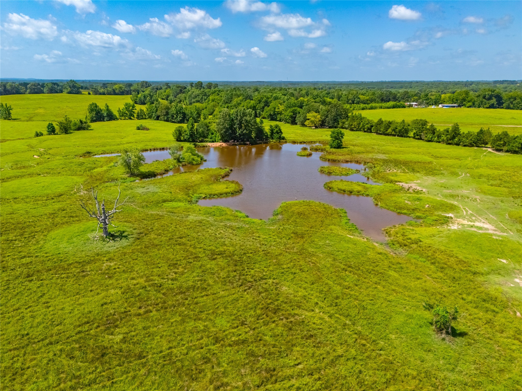 1145 N Highway 144 Omaha TX 75571