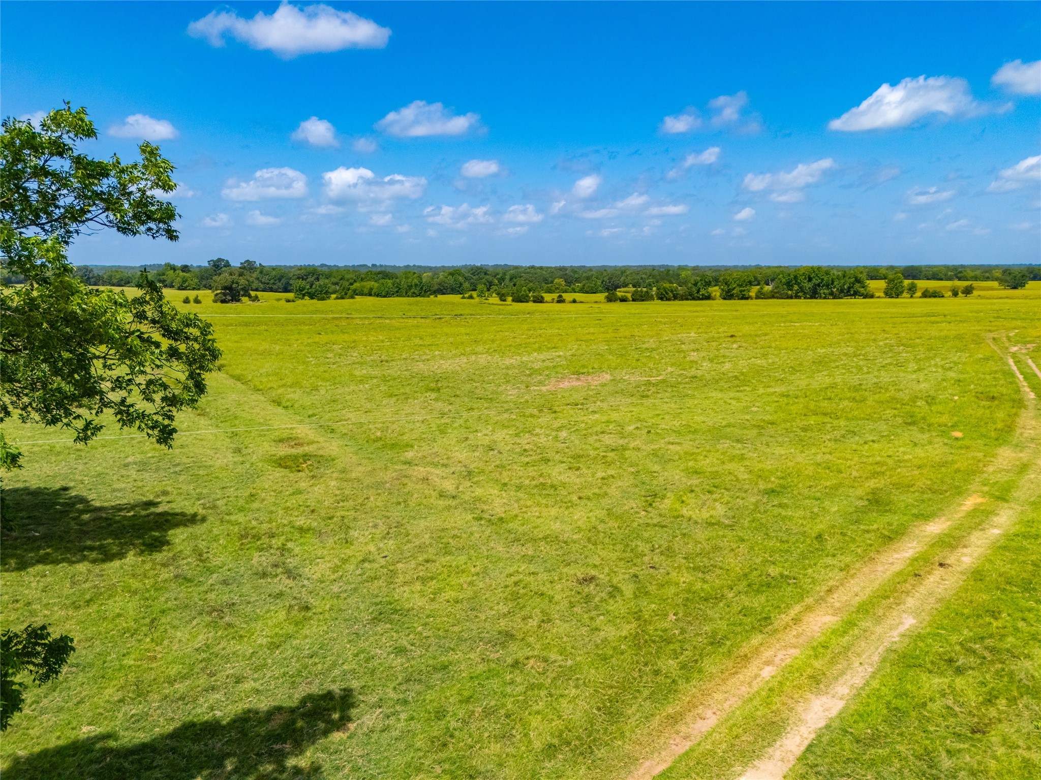 1145 N Highway 144 Omaha TX 75571